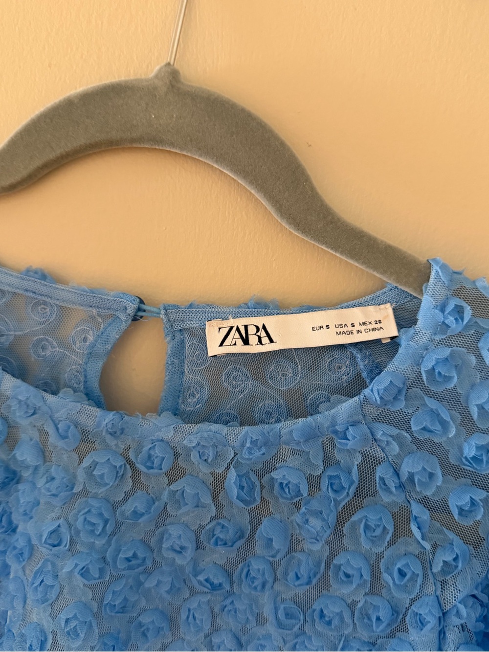 ZARA Light Blue Floral Mesh Top with 3D Rosettes